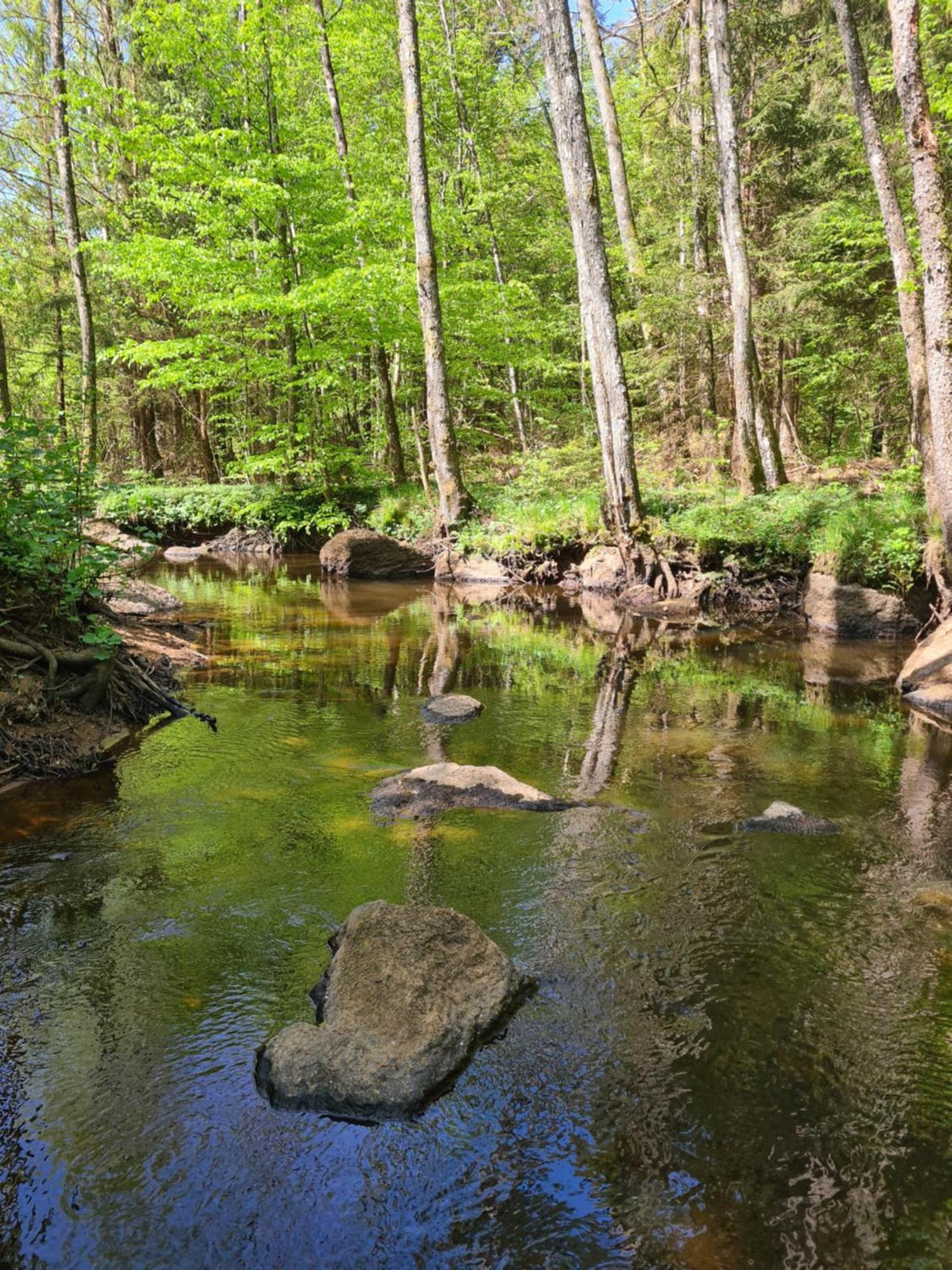 Bysmedjan Villa Hässleholm Екстериор снимка